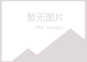 日照岚山以寒出版有限公司